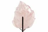 Beautiful, Polished Rose Quartz Leaf with Stand - Madagascar #335215-3